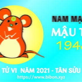 TỬ VI NĂM 2021 TUỔI 1948 NAM MẠNG