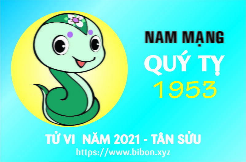 TỬ VI NĂM 2021 TUỔI QUÝ TỴ 1953 NAM MẠNG