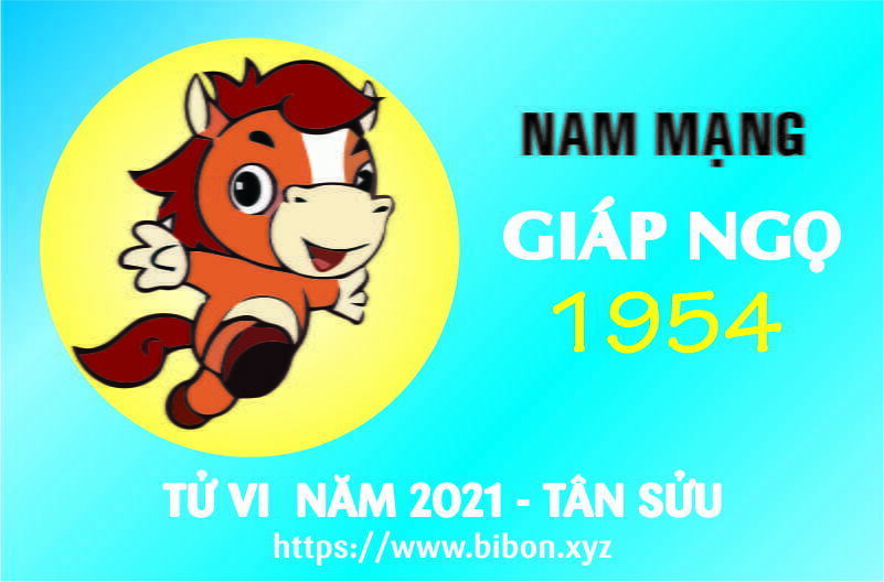 TỬ VI NĂM 2021 TUỔI GIÁP NGỌ 1954 - NAM MẠNG
