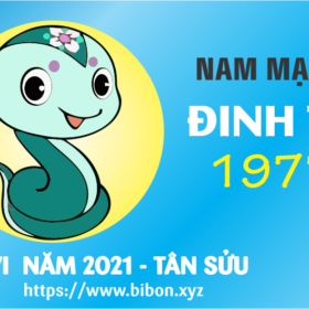 TỬ VI NĂM 2021 TUỔI ĐINH TỴ 1977 NAM MẠNG