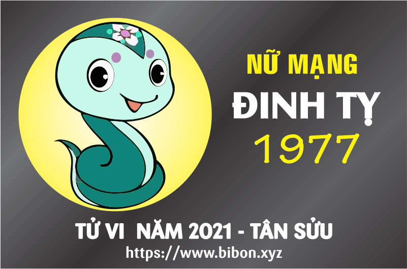 TỬ VI NĂM 2021 TUỔI ĐINH TỴ 1977 - NỮ MẠNG