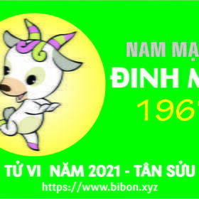 TỬ VI NĂM 2021 TUỔI ĐINH MÙI 1967 NAM MẠNG