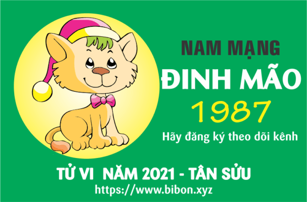 TỬ VI NĂM 2021 TUỔI ĐINH MÃO 1987