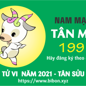 TỬ VI NĂM 2021 TUỔI TÂN MÙI 1991 NAM MẠNG