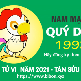 TỬ VI NĂM 2021 TUỔI QUÝ DẬU 1993 NAM MẠNG