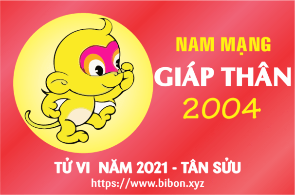 TỬ VI NĂM 2021 TUỔI GIÁP THÂN 2004 NAM MẠNG