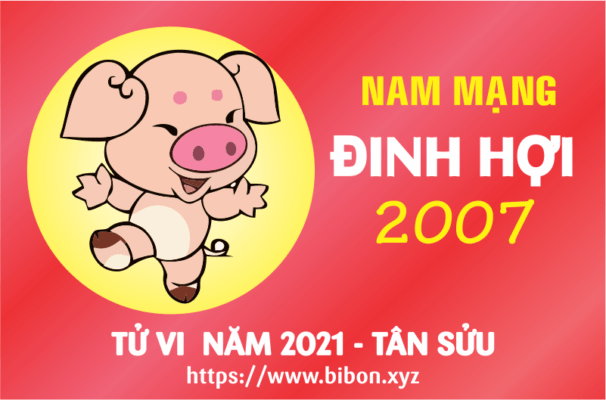 TỬ VI NĂM 2021 TUỔI ĐINH HỢI 2007 NAM MẠNG