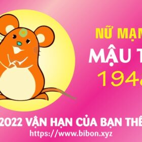 TỬ VI TUỔI MẬU TÝ 1948 NỮ MẠNG NĂM 2022 (Nhâm Dần)