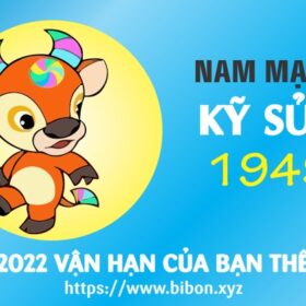 TỬ VI TUỔI KỶ SỬU 1949 NAM MẠNG NĂM 2022 (Nhâm Dần)