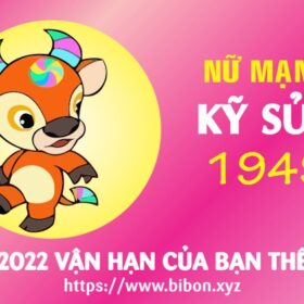 TỬ VI TUỔI KỶ SỬU 1949 NỮ MẠNG NĂM 2022 (Nhâm Dần)