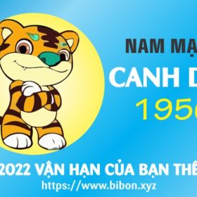 TỬ VI TUỔI CANH DẦN 1950 NAM MẠNG NĂM 2022 (Nhâm Dần)