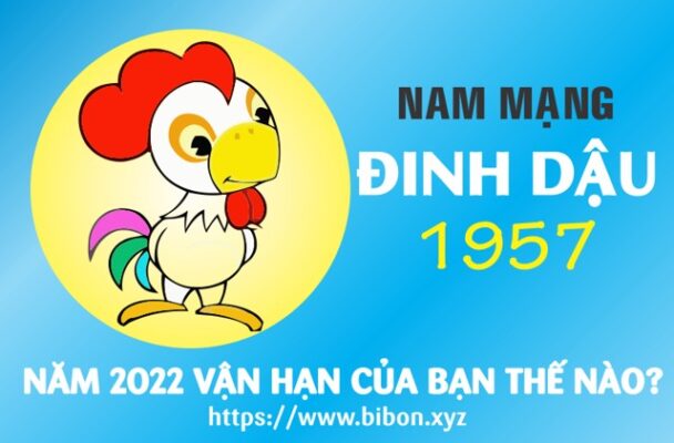 TỬ VI TUỔI ĐINH DẬU 1957 NAM MẠNG NĂM 2022 (Nhâm Dần)