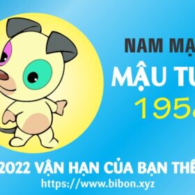TỬ VI TUỔI MẬU TUẤT 1958 NAM MẠNG NĂM 2022 (Nhâm Dần)