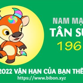 TỬ VI TUỔI TÂN SỬU 1961 NAM MẠNG NĂM 2022 (Nhâm Dần)
