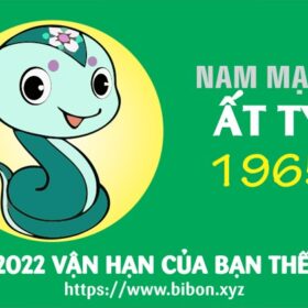 TỬ VI TUỔI ẤT TỴ 1965 NAM MẠNG NĂM 2022 (Nhâm Dần)