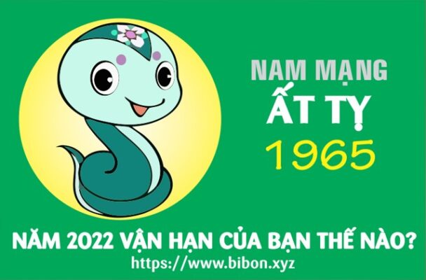 TỬ VI TUỔI ẤT TỴ 1965 NAM MẠNG NĂM 2022 (Nhâm Dần)