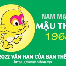 TỬ VI TUỔI MẬU THÂN 1968 NAM MẠNG NĂM 2022 (Nhâm Dần)