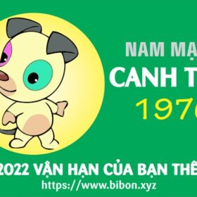 TỬ VI TUỔI CANH TUẤT 1970 NAM MẠNG NĂM 2022 (Nhâm Dần)