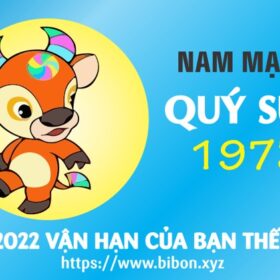 TỬ VI TUỔI QUÝ SỬU 1973 NAM MẠNG NĂM 2022 (Nhâm Dần)
