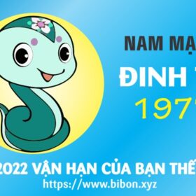 TỬ VI TUỔI ĐINH TỴ 1977 NAM MẠNG NĂM 2022 (Nhâm Dần)