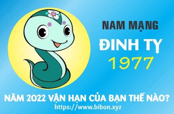 TỬ VI TUỔI ĐINH TỴ 1977 NAM MẠNG NĂM 2022 (Nhâm Dần)