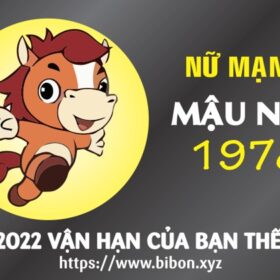 TỬ VI TUỔI MẬU NGỌ 1978 NỮ MẠNG NĂM 2022 (Nhâm Dần)