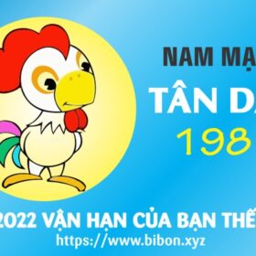 TỬ VI TUỔI TÂN DẬU 1981 NAM MẠNG NĂM 2022 (Nhâm Dần)