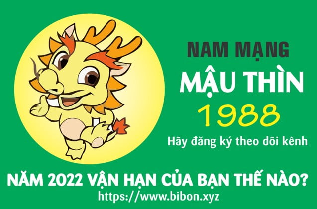 TỬ VI TUỔI MẬU THÌN 1988 NAM MẠNG NĂM 2022 (Nhâm Dần)