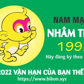 TỬ VI TUỔI NHÂM THÂN 1992 NAM MẠNG NĂM 2022 (Nhâm Dần)