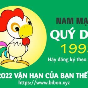 TỬ VI TUỔI QUÝ DẬU 1993 NAM MẠNG NĂM 2022 (Nhâm Dần)