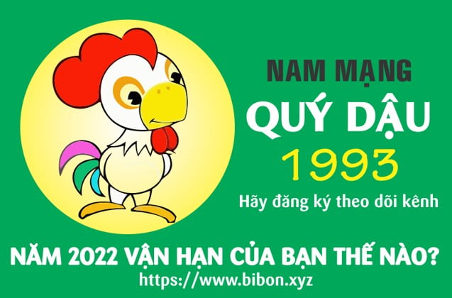 TỬ VI TUỔI QUÝ DẬU 1993 NAM MẠNG NĂM 2022 (Nhâm Dần)