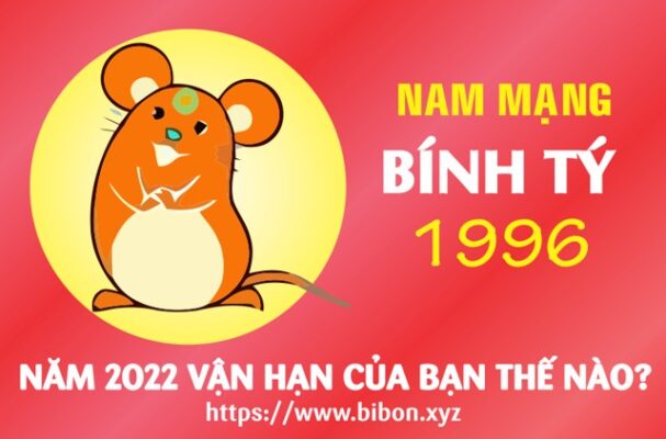 TỬ VI TUỔI BÍNH TÝ 1996 NAM MẠNG NĂM 2022 (Nhâm Dần)