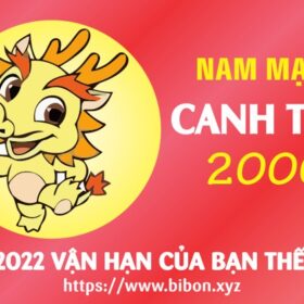 TỬ VI TUỔI CANH THÌN 2000 NAM MẠNG NĂM 2022 (Nhâm Dần)
