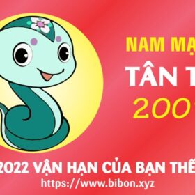 TỬ VI TUỔI TÂN TỴ 2001 NAM MẠNG NĂM 2022 (Nhâm Dần)
