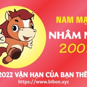 TỬ VI TUỔI NHÂM NGỌ 2002 NAM MẠNG NĂM 2022 (Nhâm Dần)