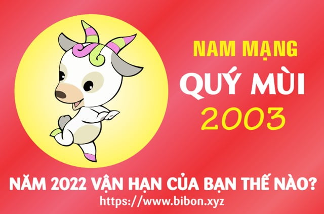 TỬ VI TUỔI QUÝ MÙI 2003 NAM MẠNG NĂM 2022 (Nhâm Dần)