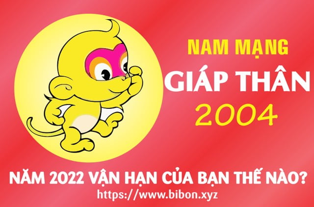 TỬ VI TUỔI GIÁP THÂN 2004 NAM MẠNG NĂM 2022 (Nhâm Dần)