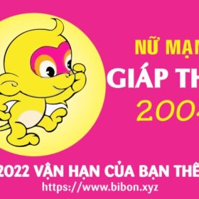 TỬ VI TUỔI GIÁP THÂN 2004 NỮ MẠNG NĂM 2022 (Nhâm Dần)