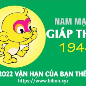 TỬ VI TUỔI GIÁP THÂN 1944 NAM MẠNG NĂM 2022 (Nhâm Dần)