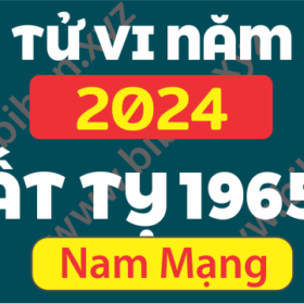 TU VI TUOI 1965 AT TY NAM 2024 NAM MANG