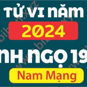 TU VI TUOI 1966 BINH NGO NAM 2024 NAM MANG