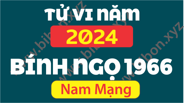 TU VI TUOI 1966 BINH NGO NAM 2024 NAM MANG