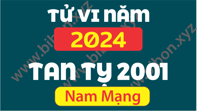 TU VI TUOI 2001 TAN TY NAM 2024 NAM MANG