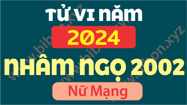 TU VI TUOI 2002 NHAM NGO NAM 2024 NU MANG