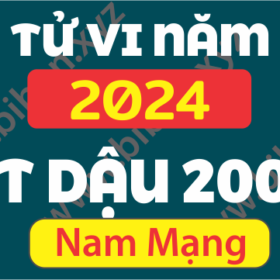 TU VI TUOI 2005 AT DAU NAM 2024 NAM MANG