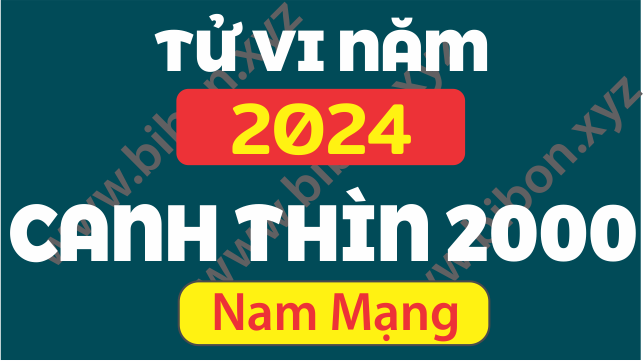 TU VI TUOI CANH THIN 2000 NAM 2024 NAM MANG