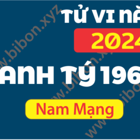 TU VI TUOI CANH TY 1960 NAM 2024 NAM MANG