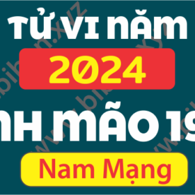 TU VI TUOI DINH MAO 1987 NAM 2024 NAM MANG