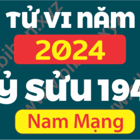 TU VI TUOI DINH SUU 1949 NAM 2024 NAM MANG