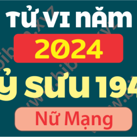 TU VI TUOI DINH SUU 1949 NAM 2024 NU MANG